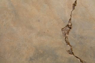 paving, concrete & plowing contractor downers grove il