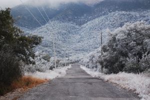 paving, concrete & plowing contractor oak park il